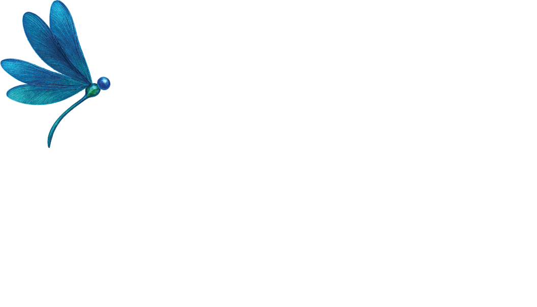 Piscinas DTP logo