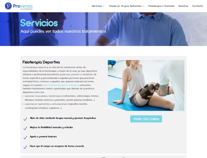 web servicios fisioterapia